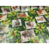 viaszos vászon /karácsonyi képeslapok fagyönggyel (fagyöngy 13cm×13cm) /sötétzöld