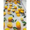 mintás HEKTOR vízhatlan anyag /80cm széles /citromok az asztalon (narancshéj 9x9.5cm)